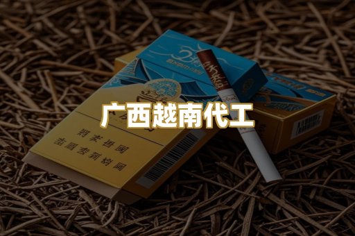 广西越南代工